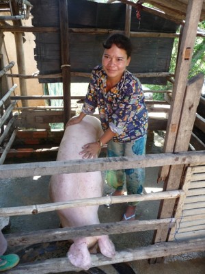 Pig Pass on Program Pig Pass on Program